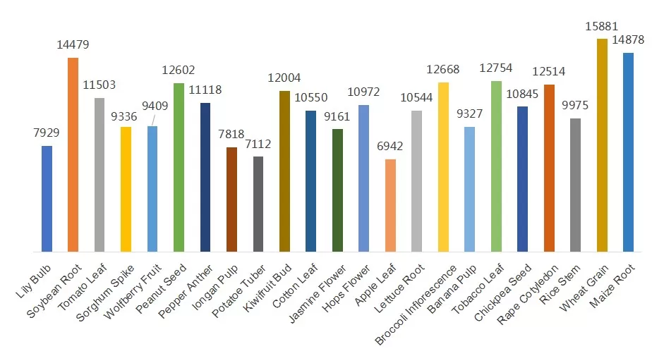 MetwareBio DIA proteomics detection experience